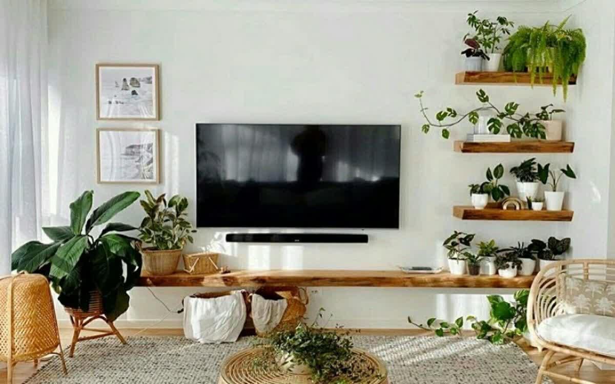 کتاب خانه شلف|کتابخانه، شلف، قفسه‌های دیواری|فردیس, شهرک ناز|دیوار