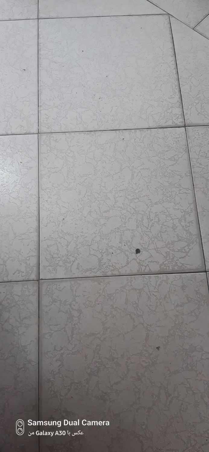 اجاره مغازه پل تالشان جنب کوچه وحدت۱۳متر ۳۰ماهی ۴|اجارهٔ مغازه و غرفه|رشت, پل تالشان|دیوار