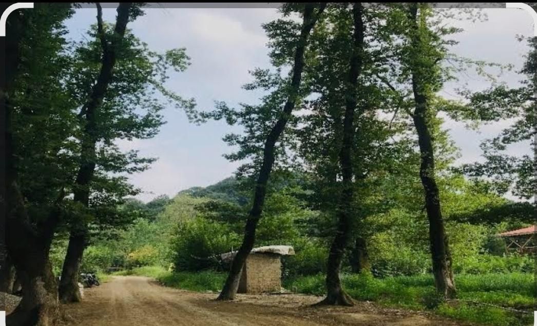 فروش زمین ۱۰۰۰ متری داخل طرح هادی سوخته کوه|فروش زمین و ملک کلنگی|لاهیجان, آهندان|دیوار