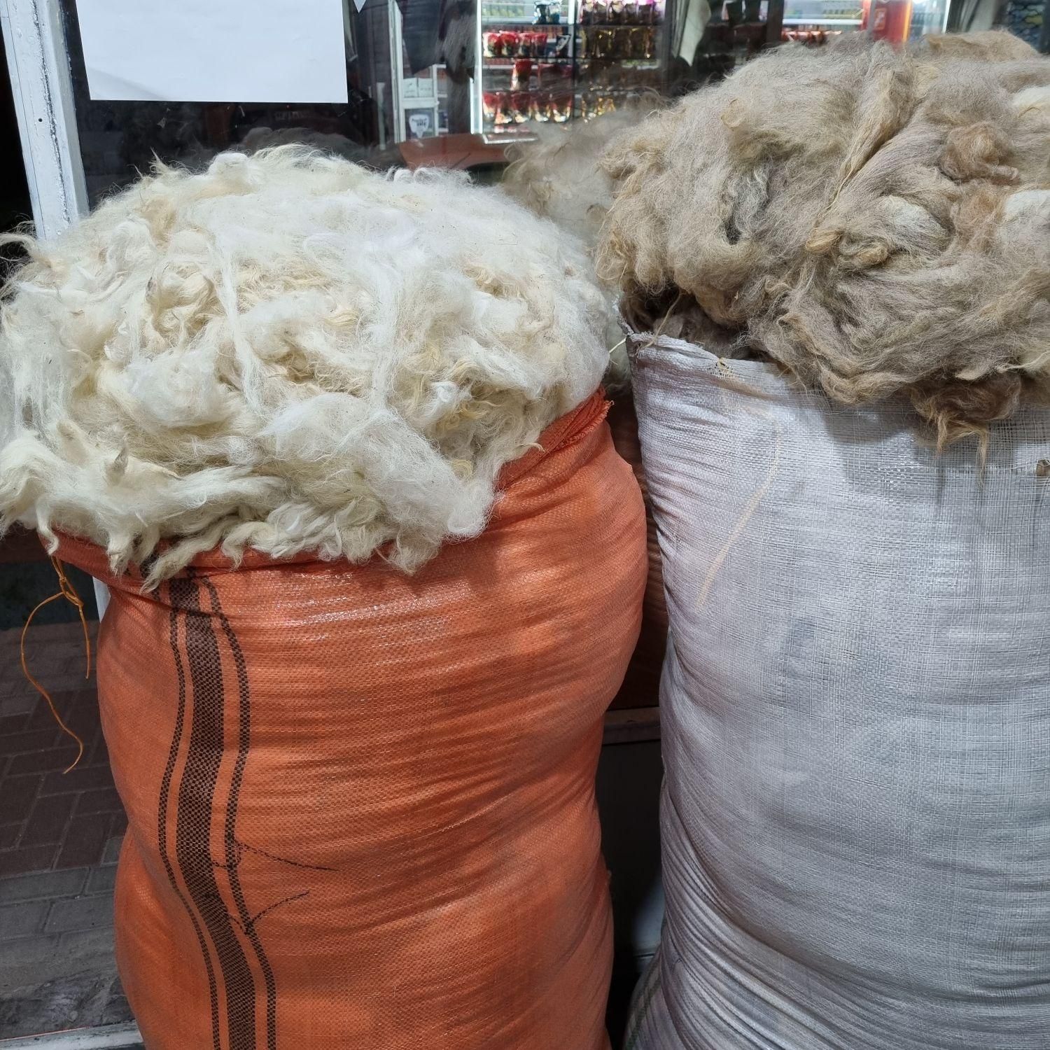 فروش انواع پشم و مایحتاج کالای خواب|رختخواب، بالش، پتو|تبریز, |دیوار