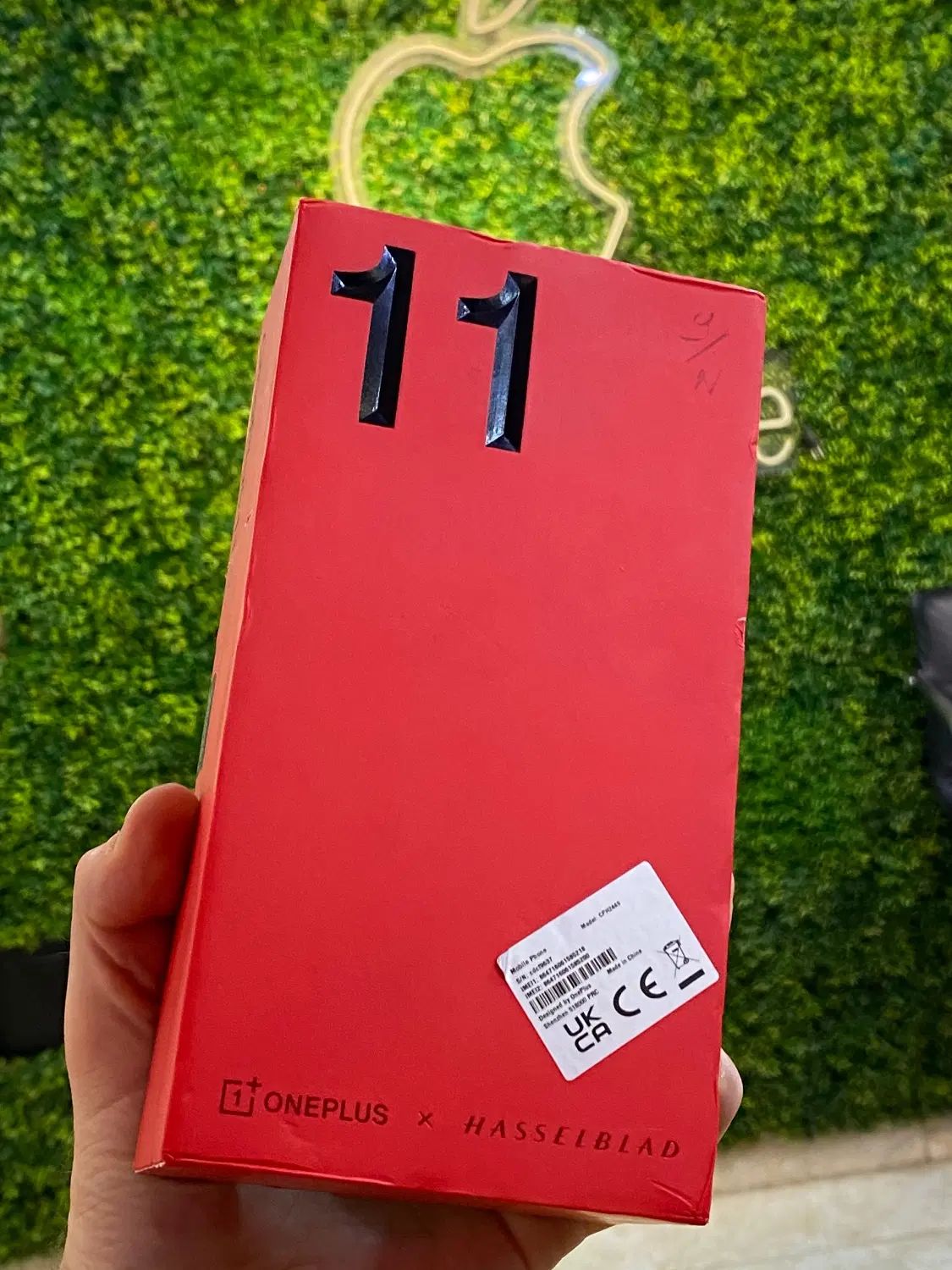 One plus 256g ram 12|موبایل|تهران, گیشا|دیوار
