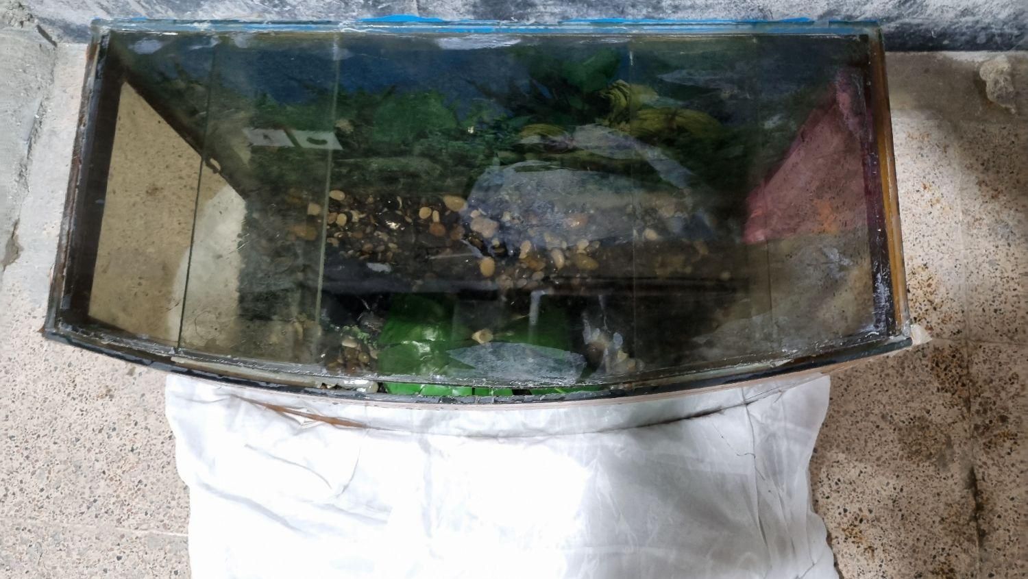 آکواریوم با دکور و تجهیزات کامل شیشه خم|ماهی|مشهد, نوید|دیوار