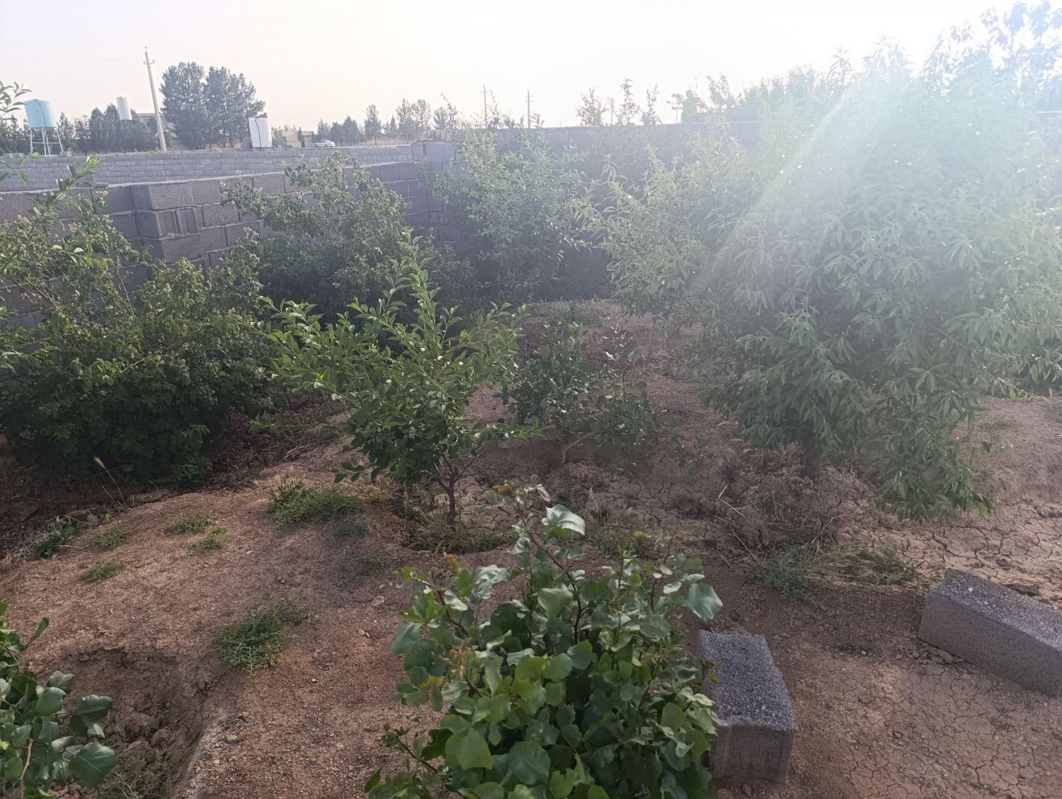 زمین باغی دارای مجوز ویلاسازی(مناسب سرمایه گذاری)|فروش زمین و ملک کلنگی|صفادشت, |دیوار