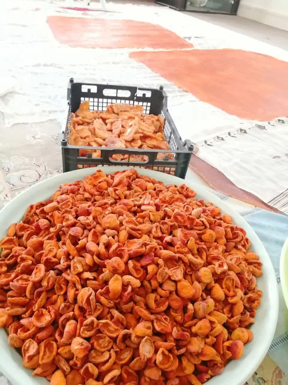 ارگانیک کده|خوردنی و آشامیدنی|مشهد, هفت تیر (آب و برق)|دیوار