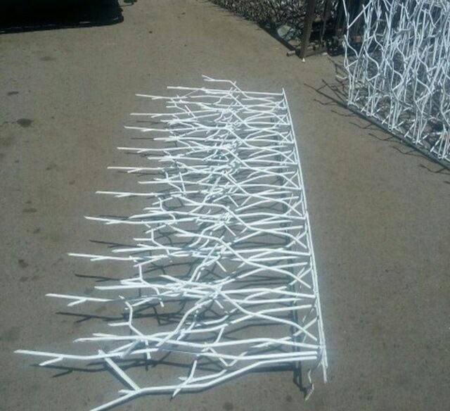 شاخ گوزنی دربهای اکاردونی دراستان یزد تولیدمیشود|خدمات پیشه و مهارت|یزد, |دیوار