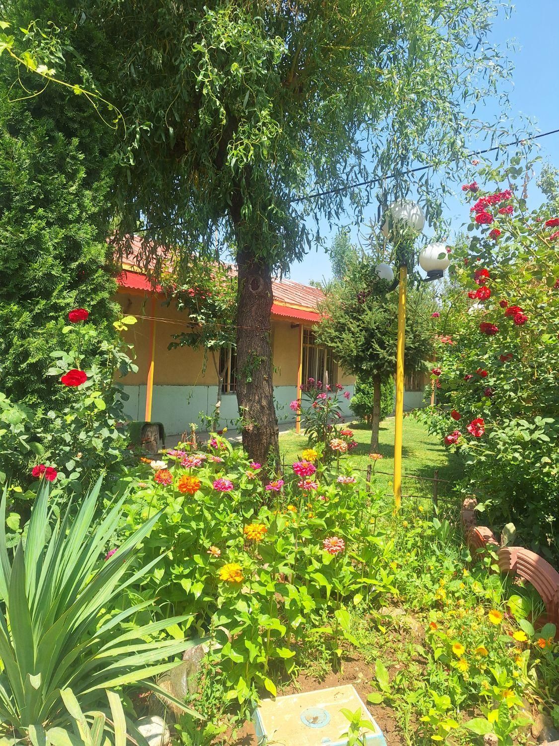 اجاره روزانه/هفتگی/ماهانه آپارتمان ۱۰۰۰ متری|اجارهٔ کوتاه‌مدت آپارتمان و سوئیت|پیرانشهر, |دیوار