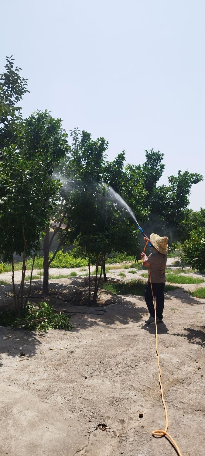 سمپاشی باغ و درختان میوه توسط مرکز خدمات سم پاشی|خدمات باغبانی و درختکاری|کرمانشاه, |دیوار