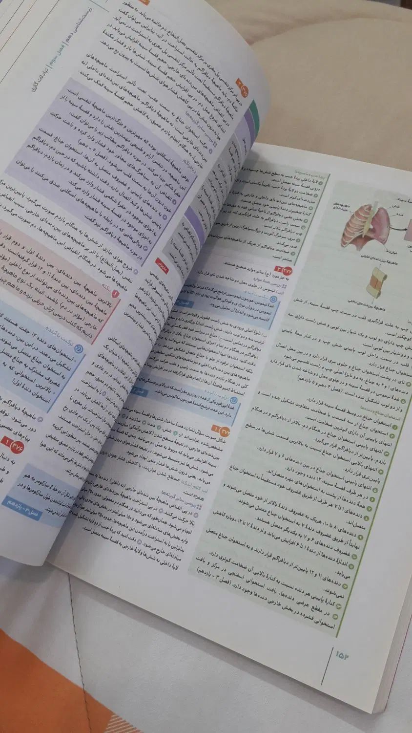 کتاب تست دهم|کتاب و مجله آموزشی|مشهد, پروین اعتصامی|دیوار