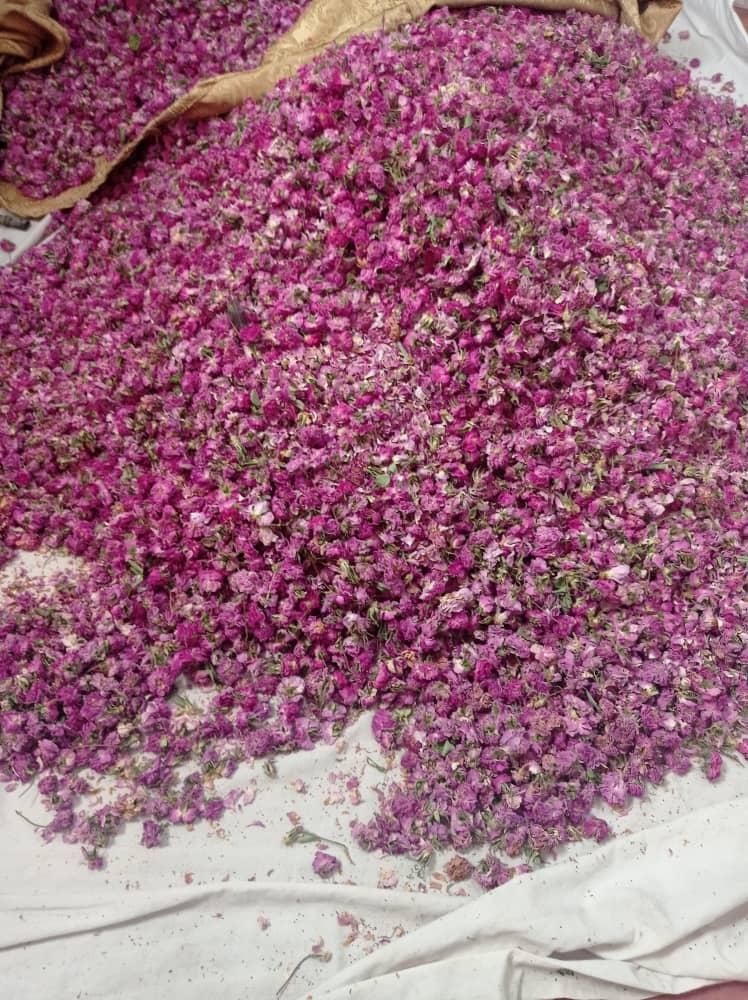 گلاب دو آتیشه گلاب اصل گلاب شهرکرد غنچه گلاب|خوردنی و آشامیدنی|اصفهان, شفق|دیوار