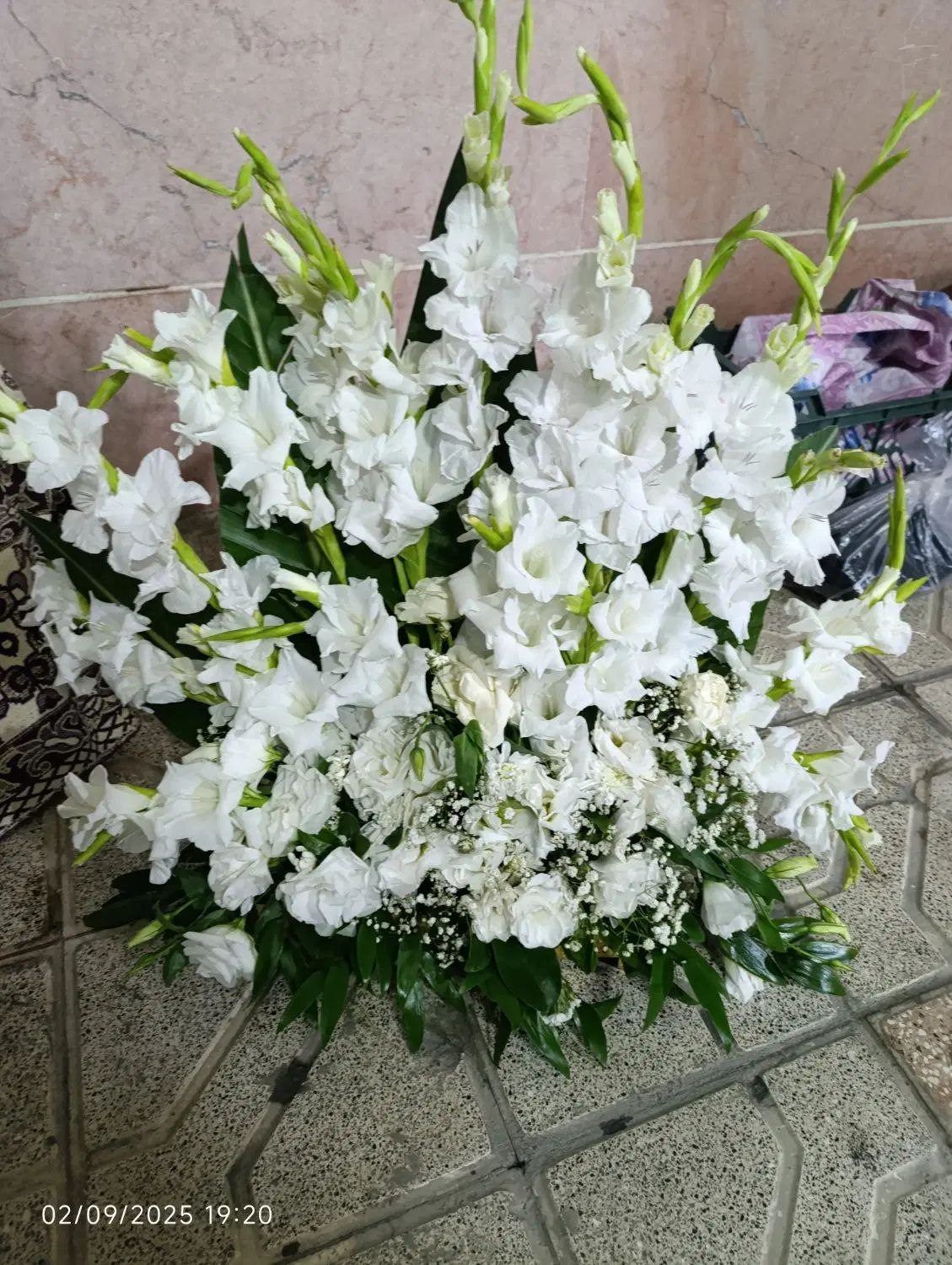 پایه گل|گل و گیاه طبیعی|مشهد, طبرسی شمالی|دیوار