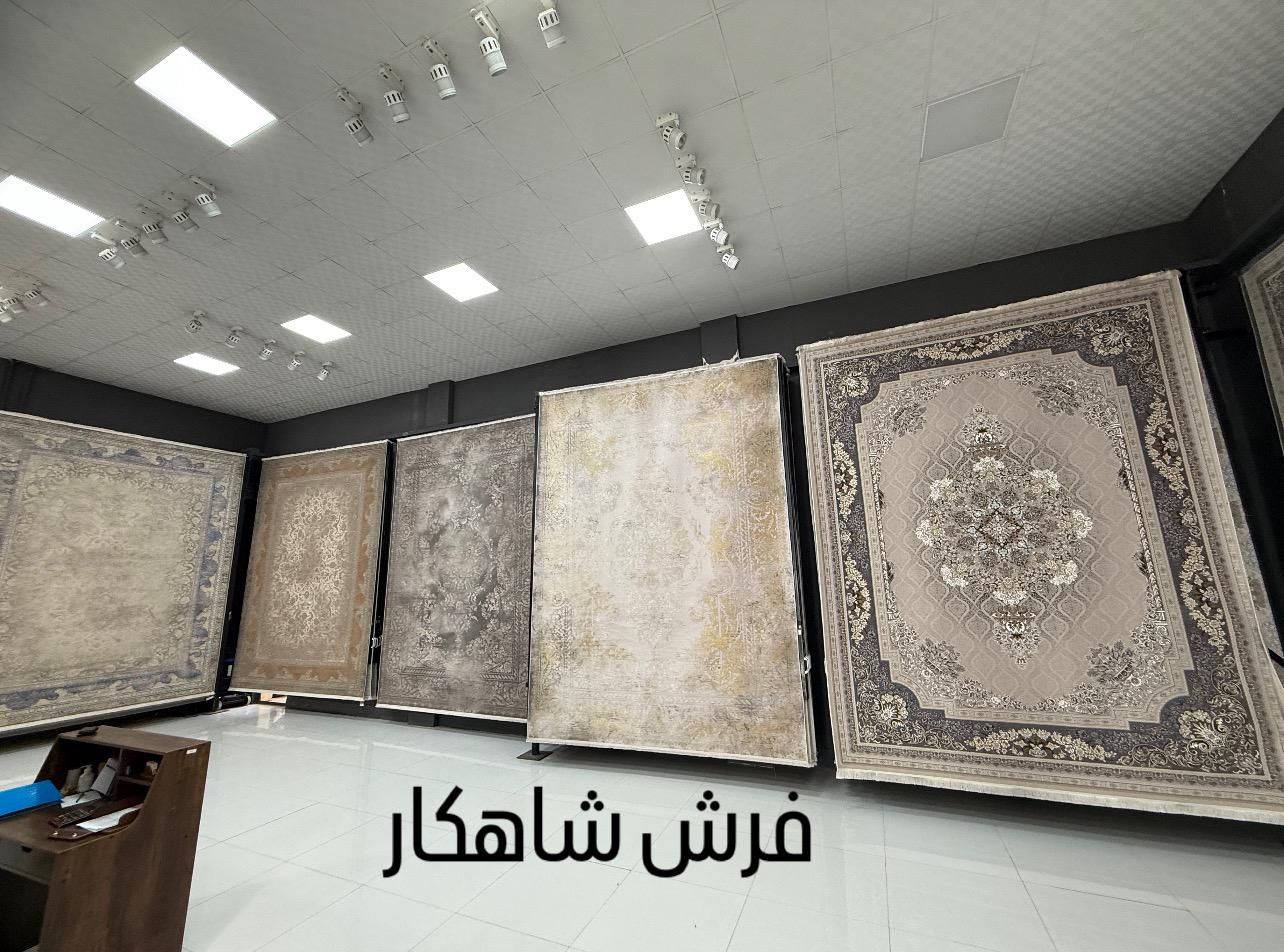 فرش خلیج فارس ۱۲۰۰شانه نخ مخمل تاپس|فرش|شیراز, شهرک سراج‎|دیوار