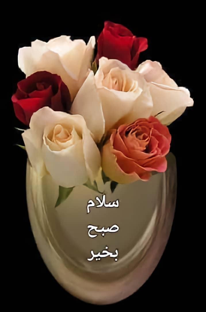 مشورت|فعالیت داوطلبانه|تهران, دروس|دیوار