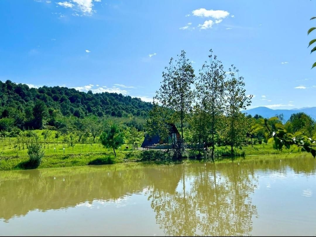 اجاره کلبه سوییسی جکوزی دار با برکه اختصاصی|اجارهٔ کوتاهمدت ویلا و باغ|رشت, کاکتوس|دیوار