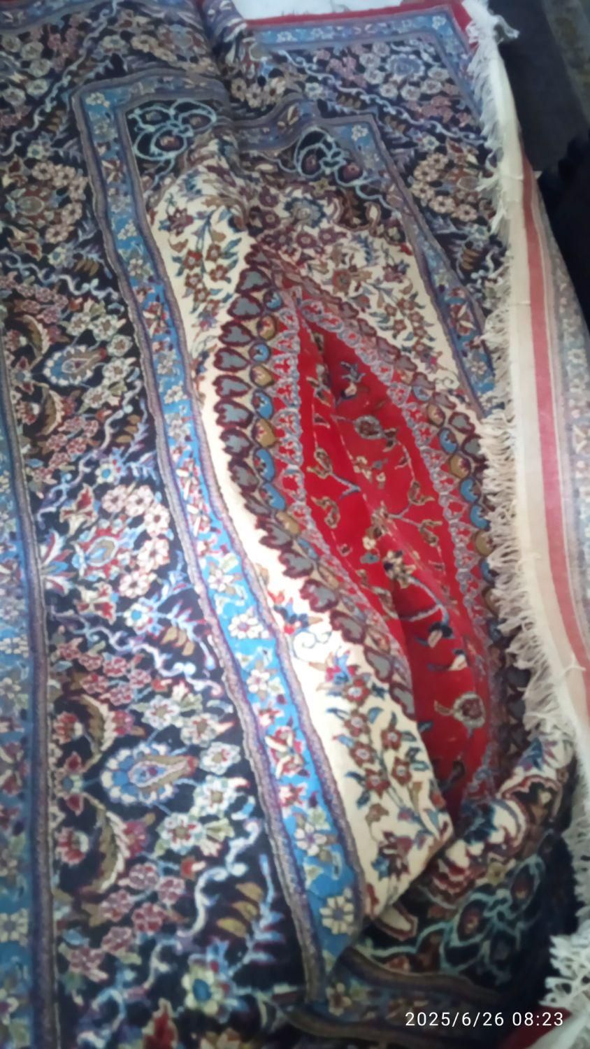 فرش 9متری کاملا نو|فرش|سمنان, |دیوار