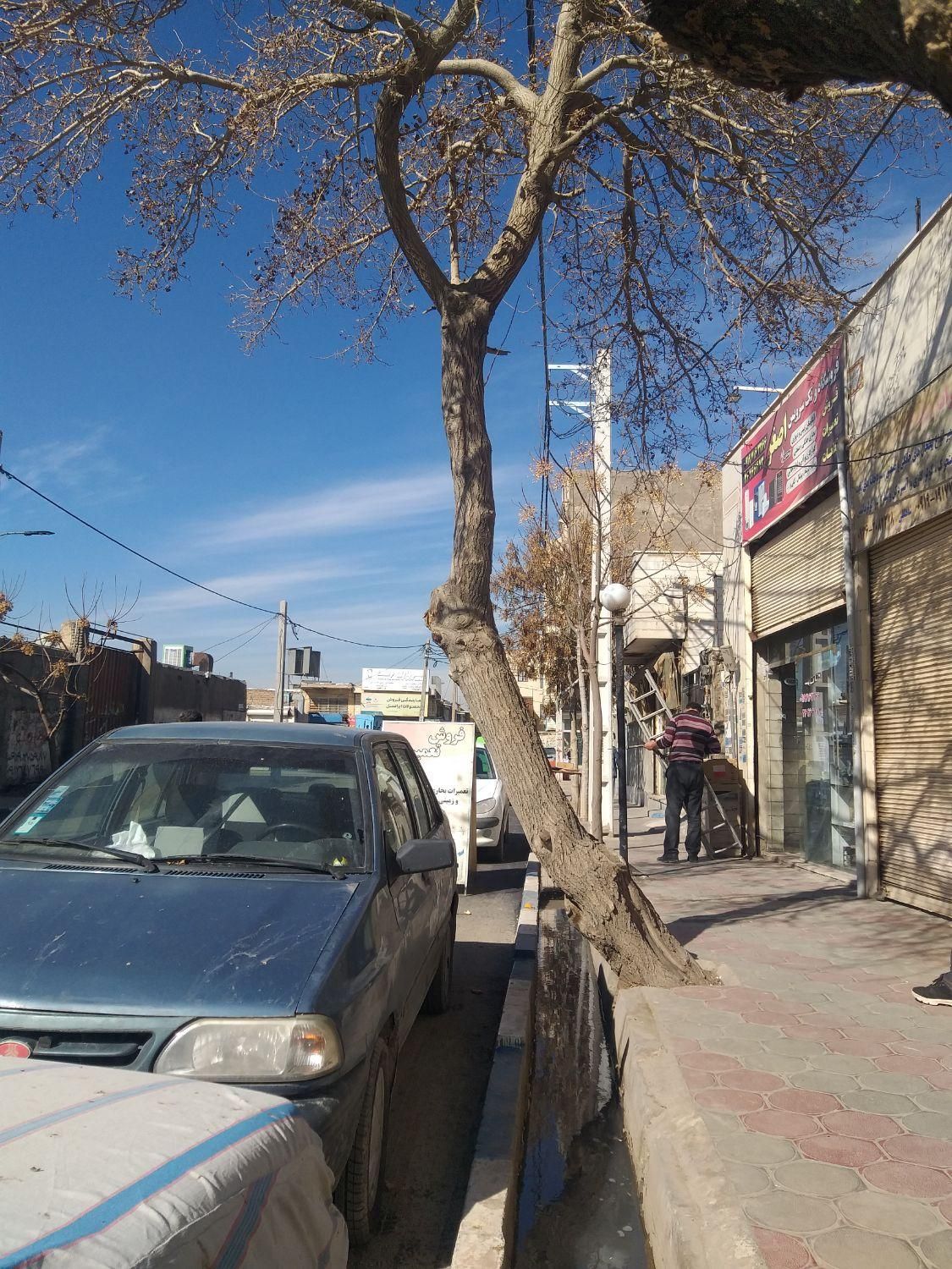 ۴۵۸ متر خانه کلنگی سند تکبرگ تراکم بالا مشارکت|مشارکت در ساخت املاک|پاکدشت, |دیوار