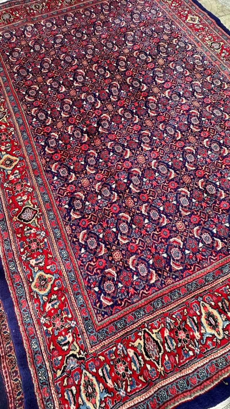 فرش‌قهرمانی ۱۲ متری دستبافت ماهی سراسر|فرش|اراک, |دیوار