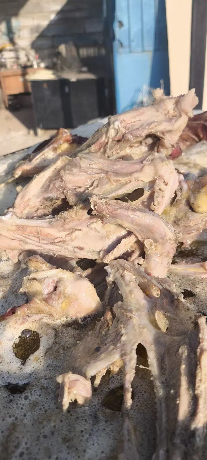 اسکلت مرغ پخته غذای سگ و گربه|لوازم جانبی حیوانات|کرج, شهرک یاس جنوبی|دیوار