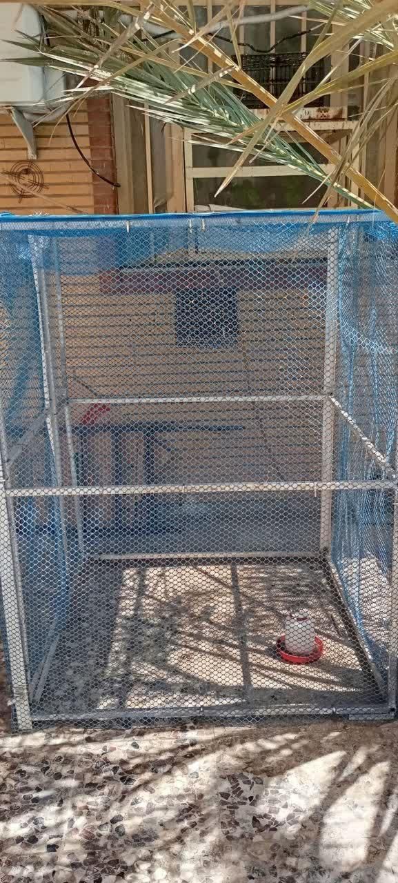 قفس|لوازم جانبی حیوانات|خورموج, |دیوار