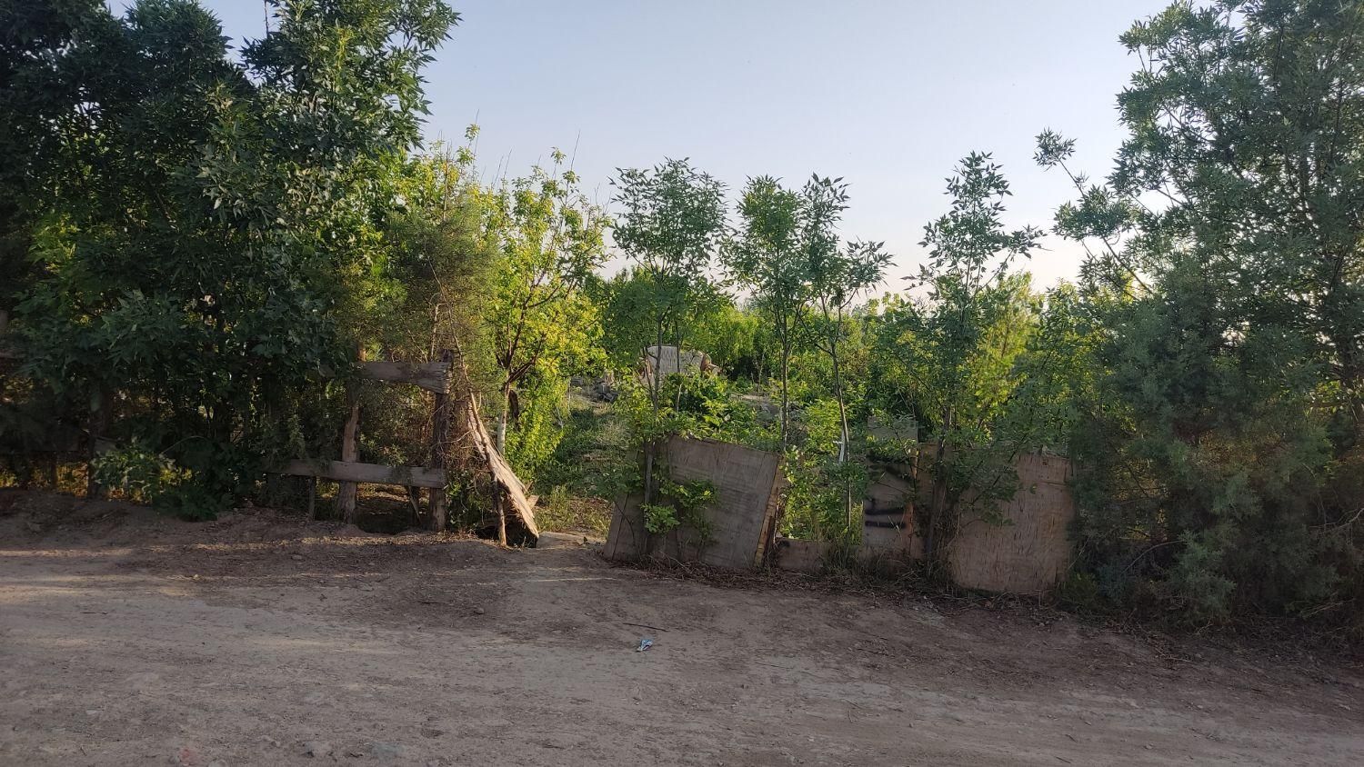 باغچه|فروش زمین و ملک کلنگی|اسلام‌شهر, کاشانک|دیوار