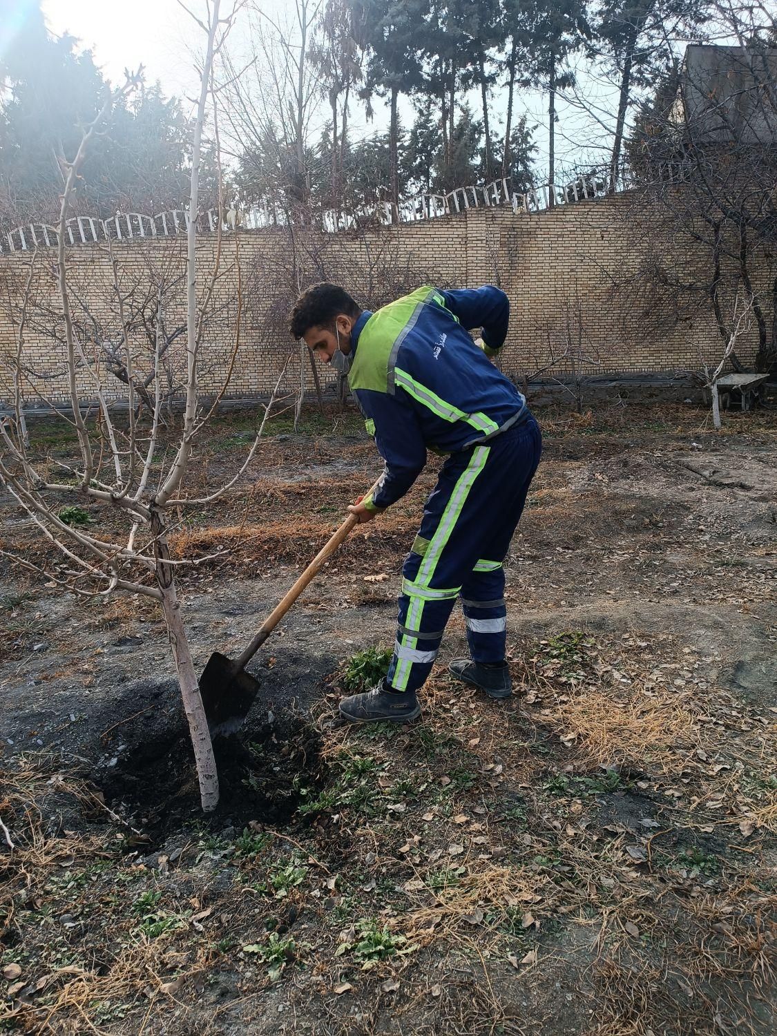 کلیه کارهای سم پاشی،باغبانی،گل کاری وهرس ،تیلرزنی|خدمات باغبانی و درختکاری|مشهد, سرافرازان|دیوار