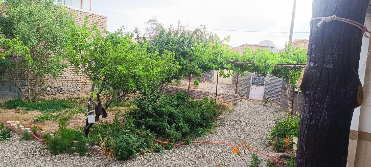 خانه ویلایی با درختان میوه روستای صنوبر|فروش خانه و ویلا|تربت‌حیدریه, بالا ولایت|دیوار