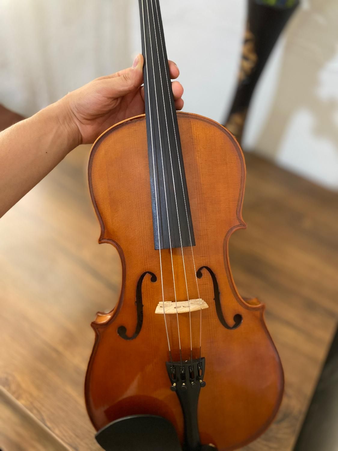 ویولاViola|ویولن|شیراز, باغ تخت|دیوار