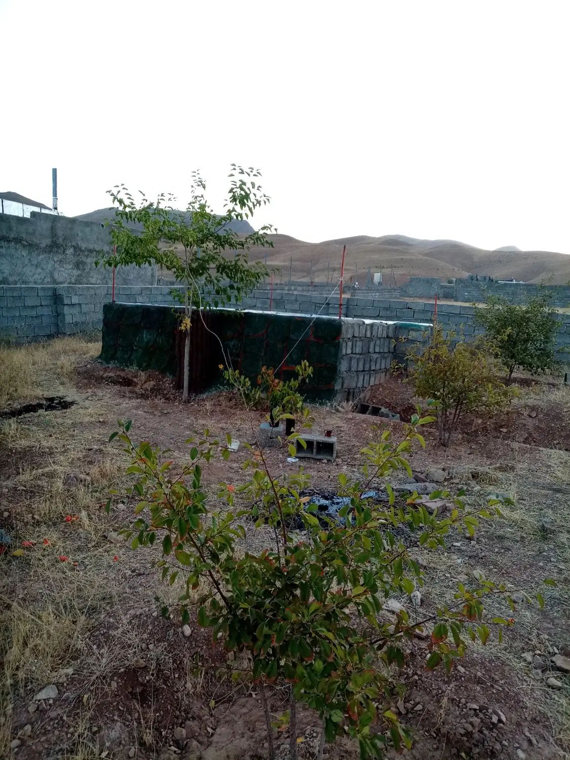 باغ به متراژ۱۴۰۰متردرروستای مزرعه زیرقیمت|فروش خانه و ویلا|صوفیان, |دیوار