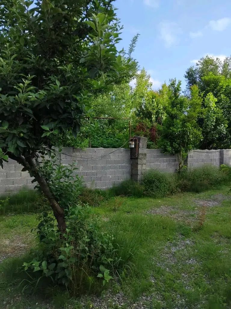 خانه روستایی ۵۰۰ متری خوش قیمت خشکبیجار زیباکنار|فروش خانه و ویلا|رشت, دیلمان|دیوار