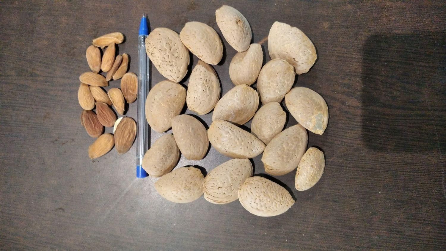 نقل، رب گوجه، بادام|خوردنی و آشامیدنی|تهران, شهادت|دیوار