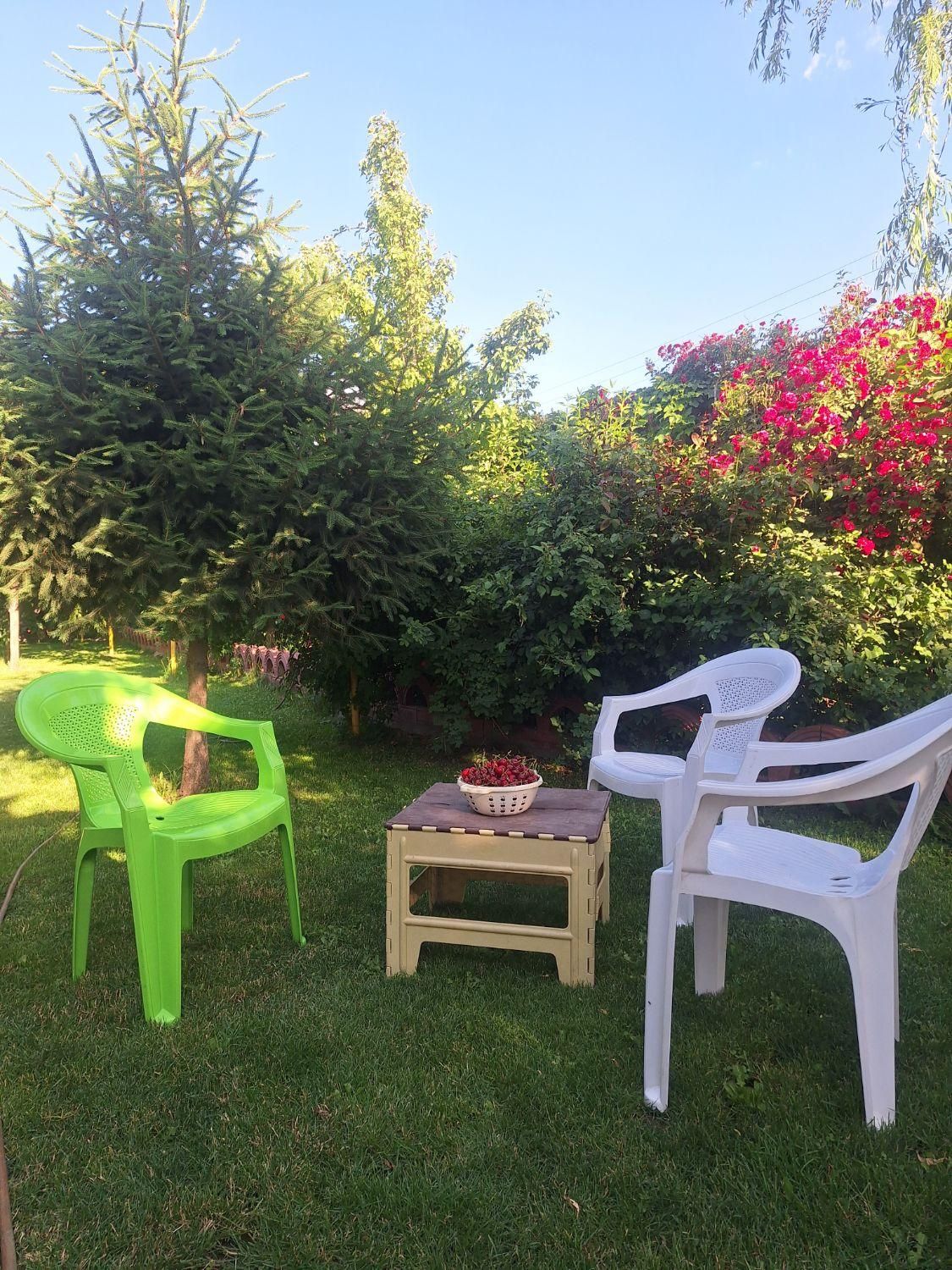 اجاره روزانه/هفتگی/ماهانه آپارتمان ۱۰۰۰ متری|اجارهٔ کوتاه‌مدت آپارتمان و سوئیت|پیرانشهر, |دیوار