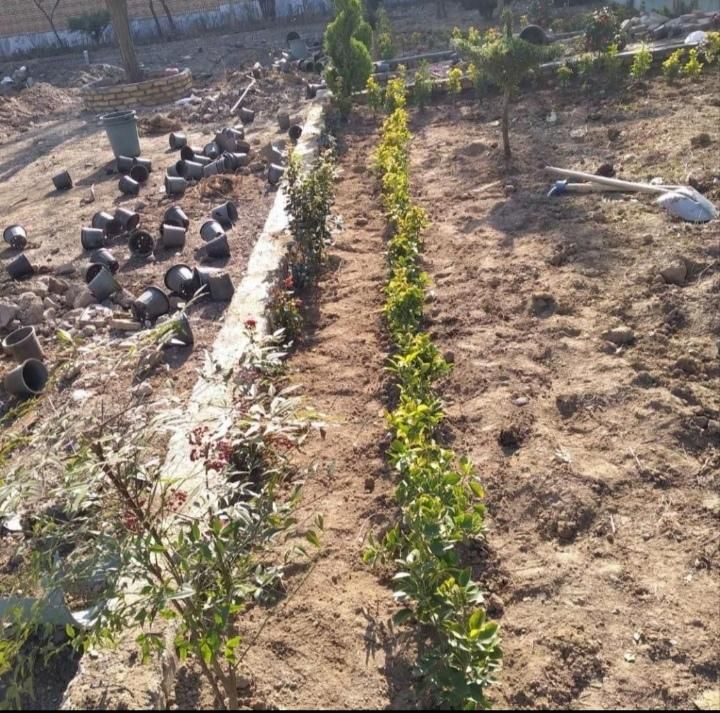 باغبانی سمپاشی تیلرزنی گلکاری هرس کاری کودهی|خدمات باغبانی و درختکاری|مشهد, احمدآباد|دیوار
