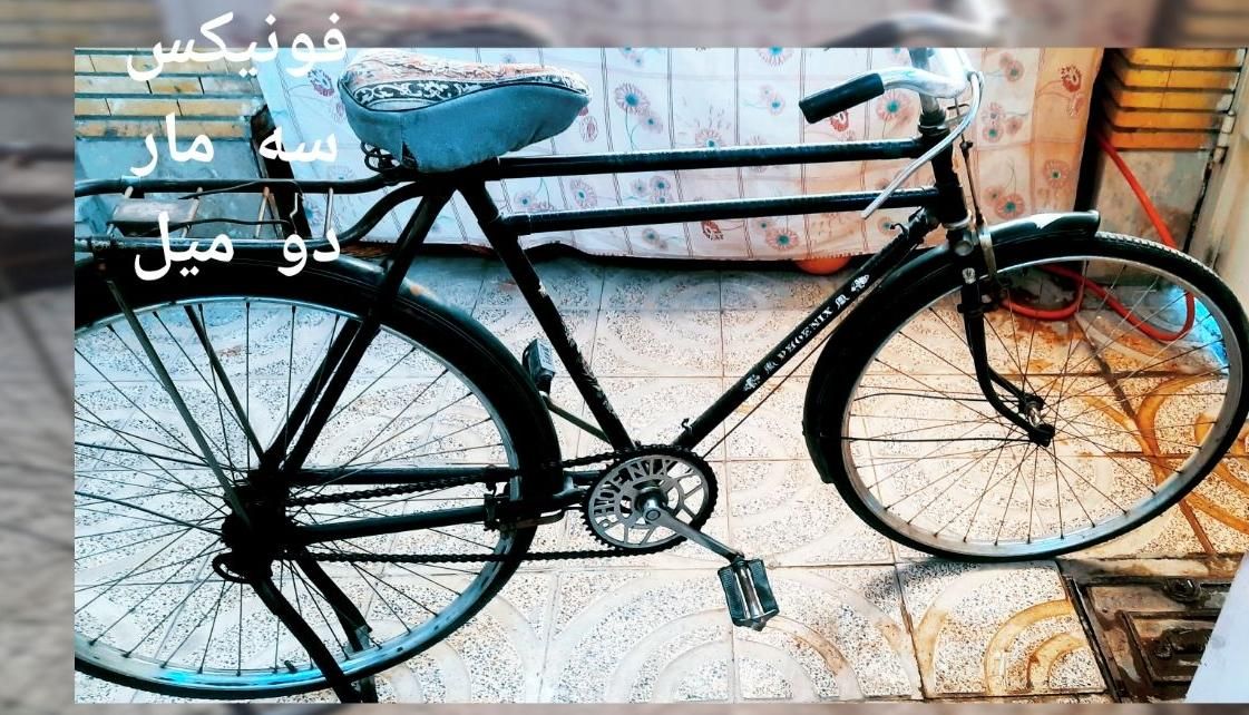دوچرخه چینی|دوچرخه، اسکیت، اسکوتر|اصفهان, بهارستان|دیوار
