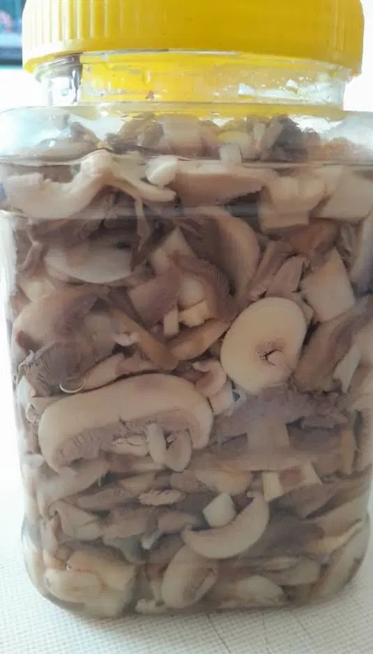 قارچ پخته شده (بلنچ)|خوردنی و آشامیدنی|اصفهان, سپاهان‌شهر|دیوار