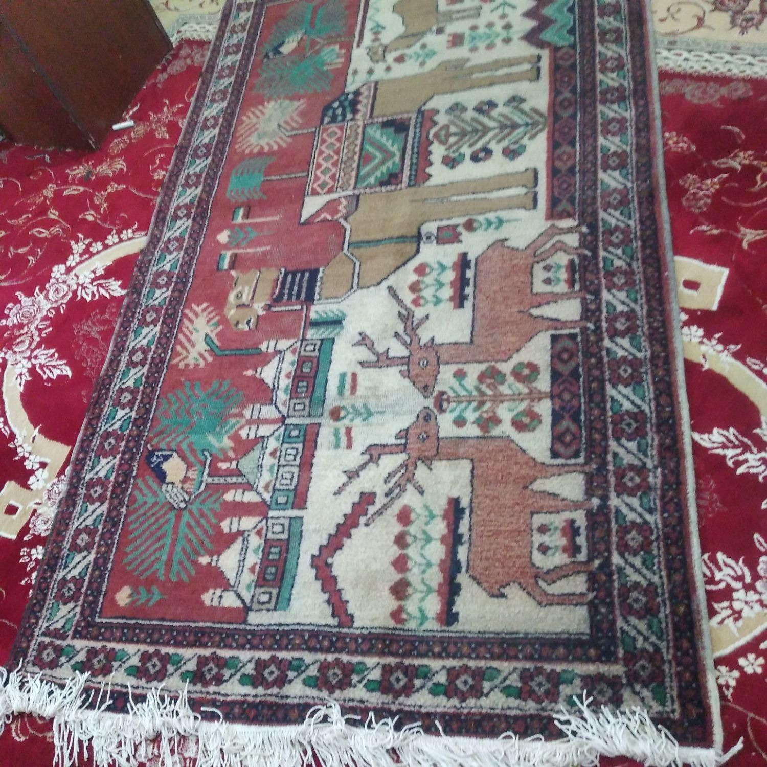 معامله انواع فرش دستباف وقالی دستبافت درب منزل|فرش|رفسنجان, |دیوار