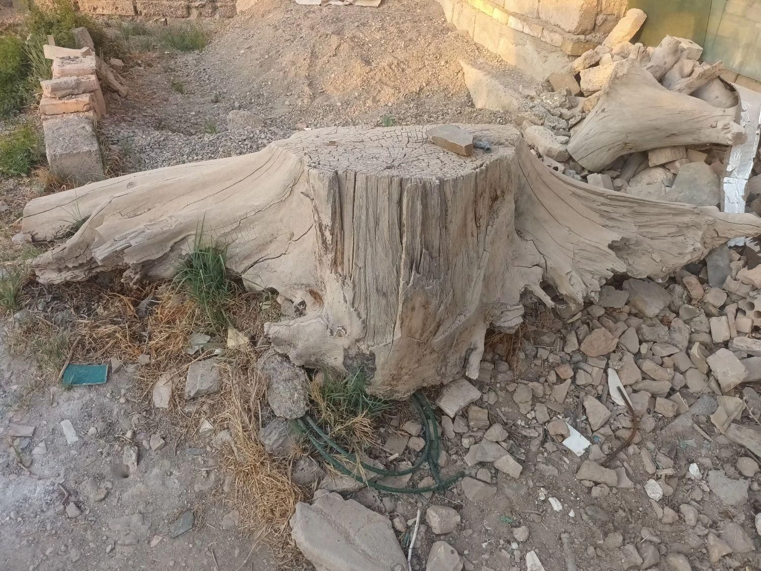 کنده درخت|مجسمه، تندیس، ماکت|اصفهان, ردان|دیوار