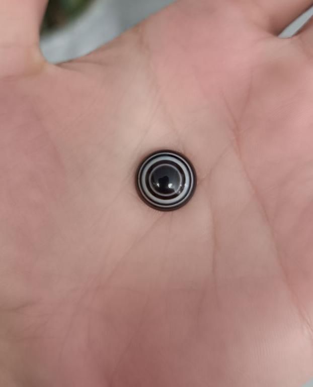 مهره کهنه قدیمی منظم سه پوست|جواهرات|ارومیه, |دیوار