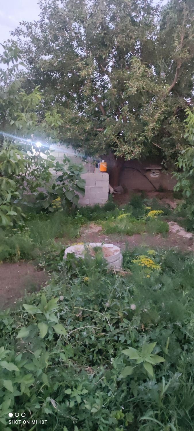 فروش باغ|فروش دفتر صنعتی، کشاورزی، تجاری|میاندوآب, |دیوار