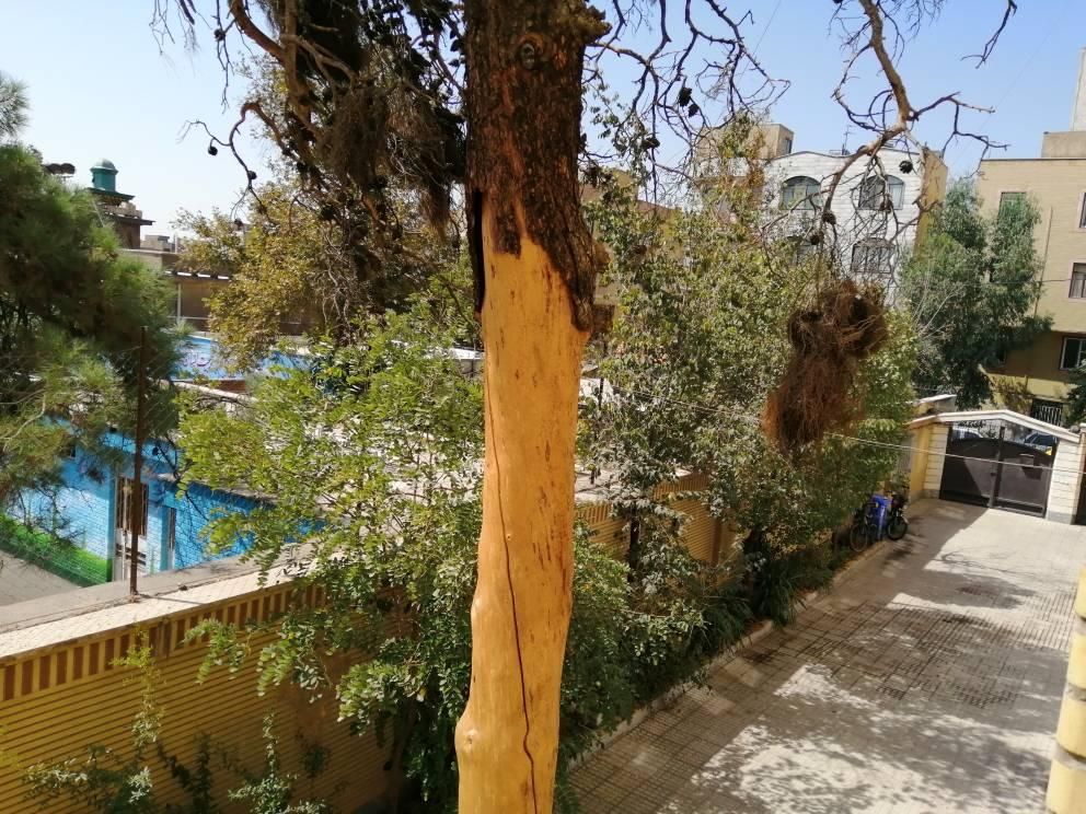 فروش آپارتمان ۵۸ متری ۱ خوابه طبقه ۲ در امیر بهادر|فروش آپارتمان|تهران, امیر بهادر|دیوار