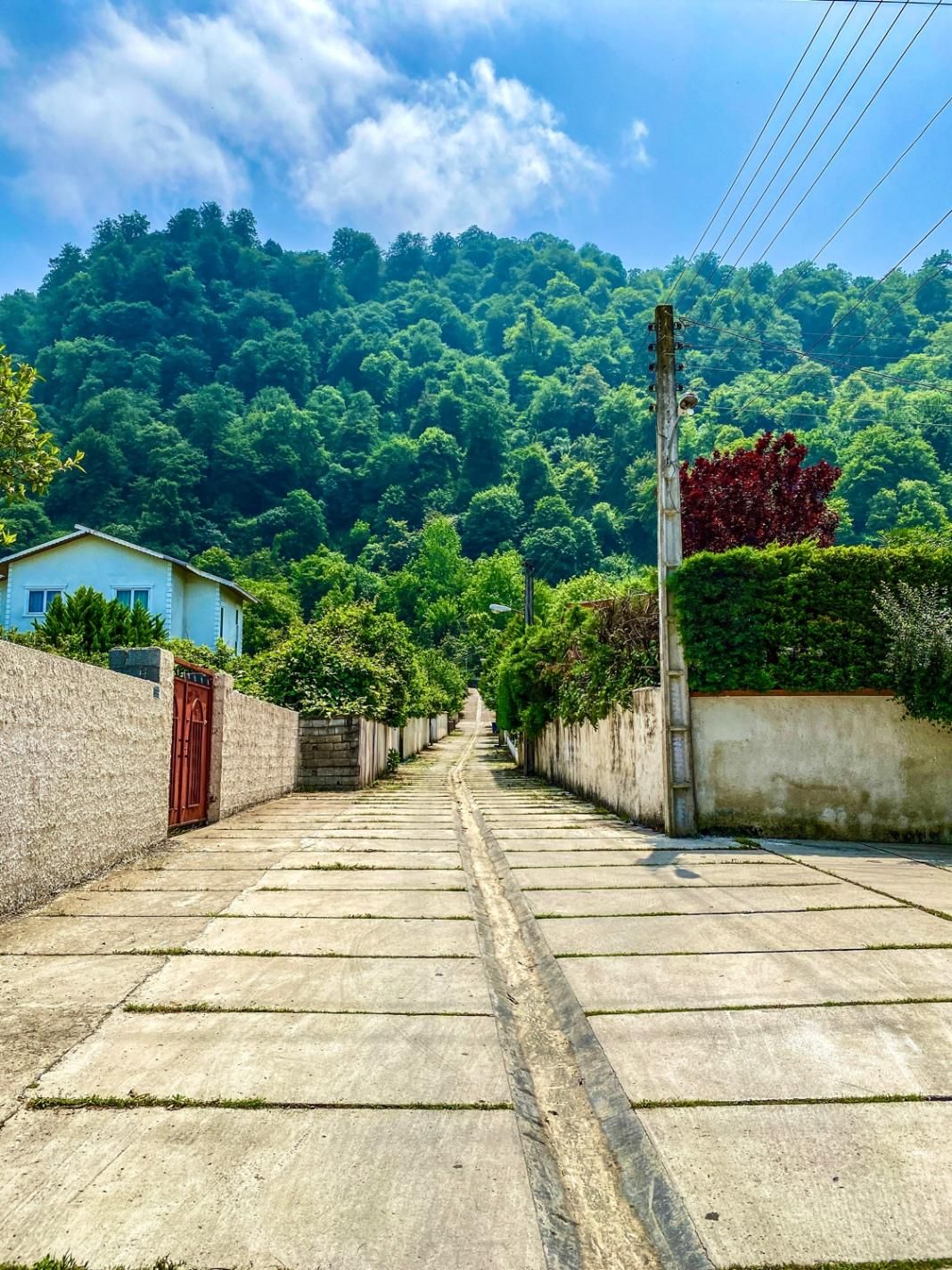 اجاره ویلاباغ استخردار ویو ابدی دل جنگل نمک آبرود|اجارهٔ کوتاهمدت ویلا و باغ|چالوس, |دیوار