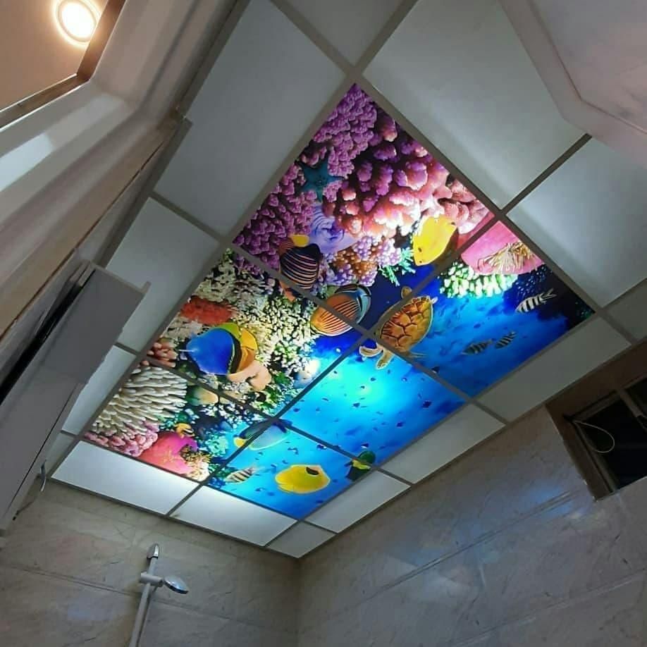 سقف کاذب تایل سی آن سی|خدمات پیشه و مهارت|ورامین, ورامین|دیوار