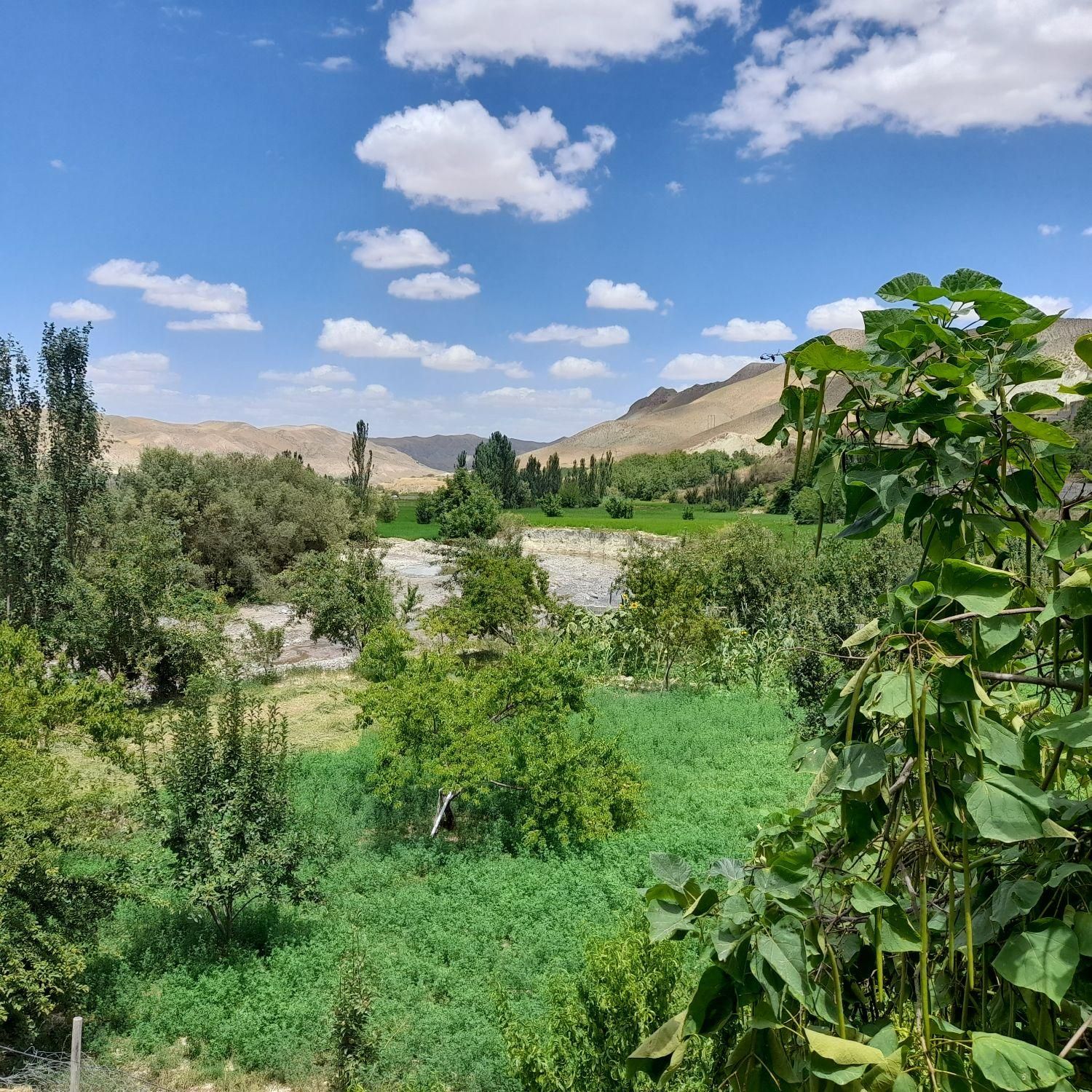 سوییت سوئیت اقامتگاه شالیزارکلات نادرروستای قاباخ|اجارهٔ کوتاه‌مدت آپارتمان و سوئیت|مشهد, خواجه ربیع|دیوار