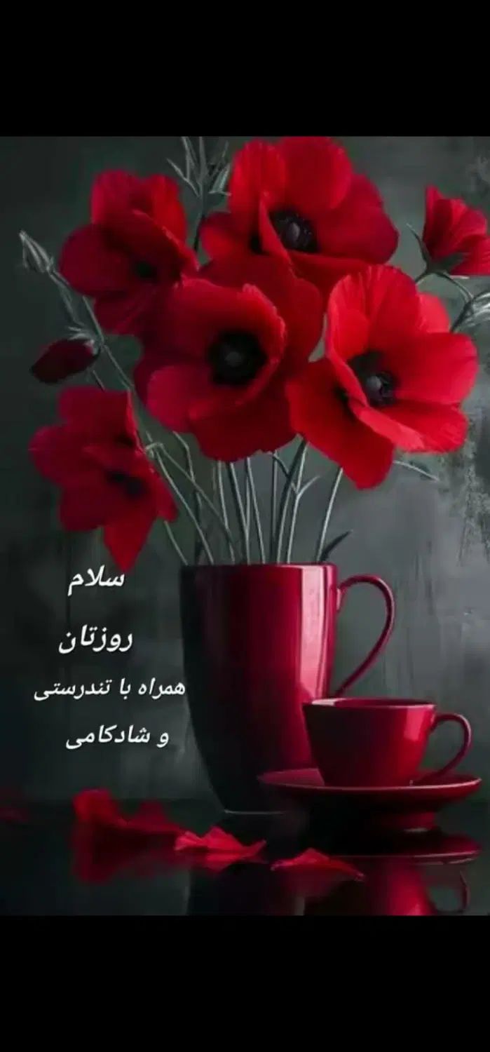 حسابدار خانم|استخدام مالی، حسابداری، حقوقی|تهران, شهرک کوهسار|دیوار