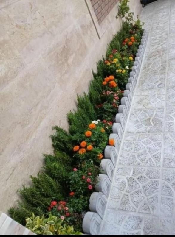 باغبان سیار به تمام نقاط تهران فقط یک تماس|خدمات باغبانی و درختکاری|تهران, سعادت‌آباد|دیوار