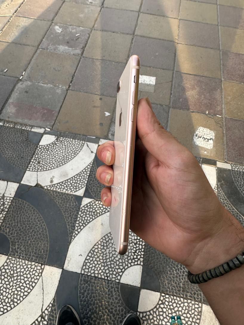 اپل iPhone 8 Plus با حافظهٔ ۶۴ گیگابایت|موبایل|کرج, درختی|دیوار