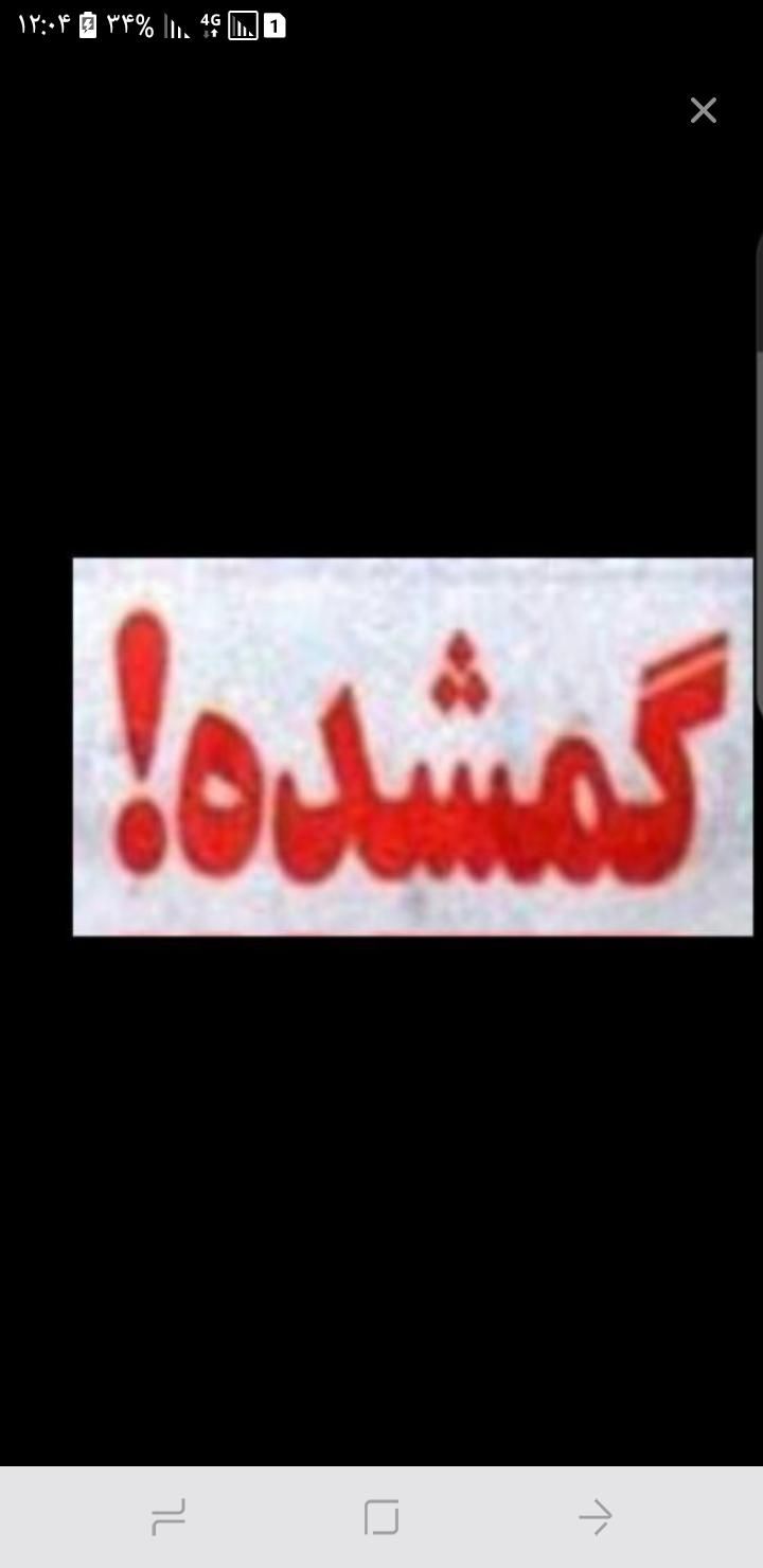 کیف زنانه گمشده|اشیا|خوی, |دیوار