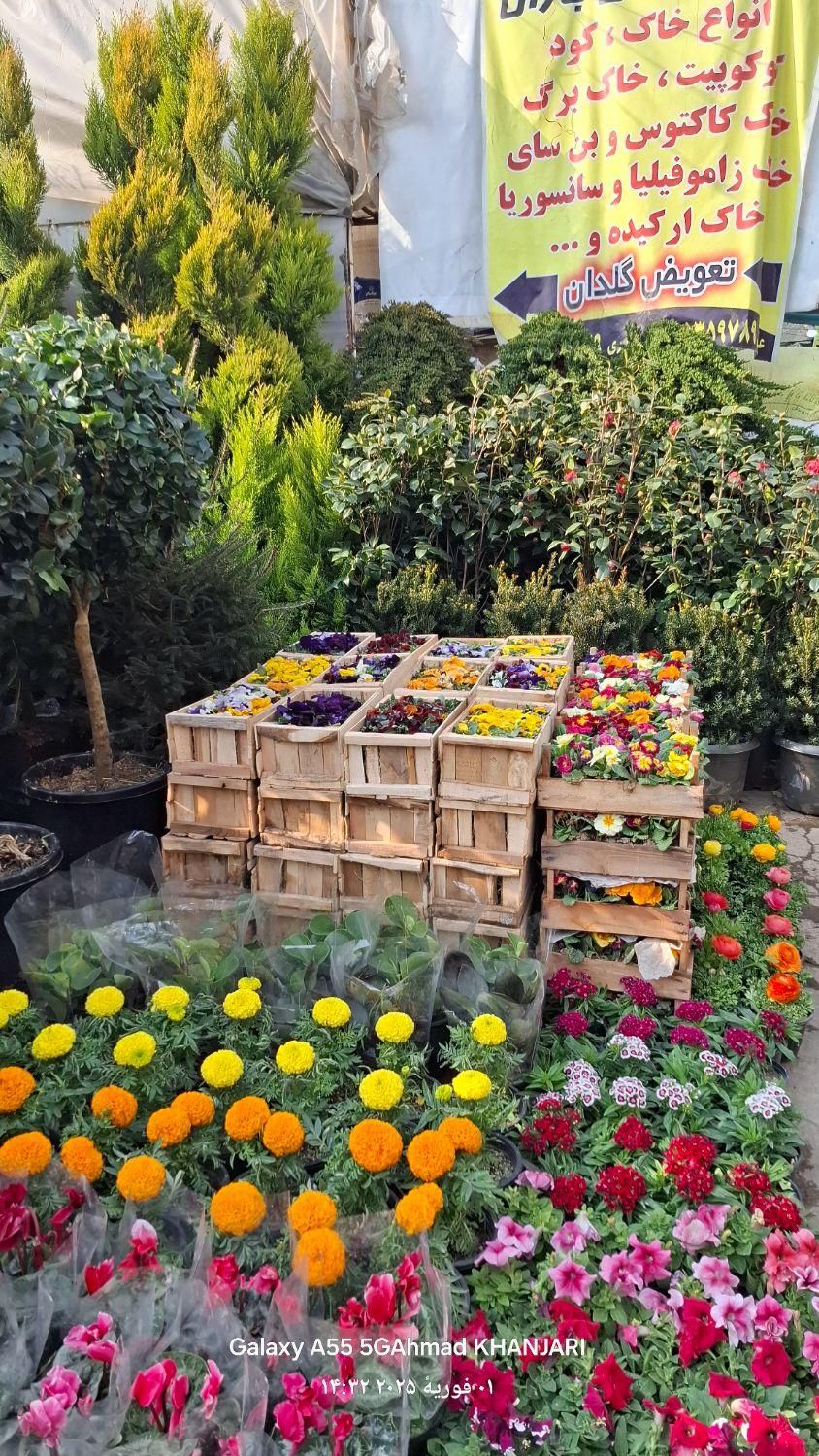 خدماتباغبانی ویژه سرویس درتمام نقاط تهران|خدمات باغبانی و درختکاری|تهران, جهاد|دیوار