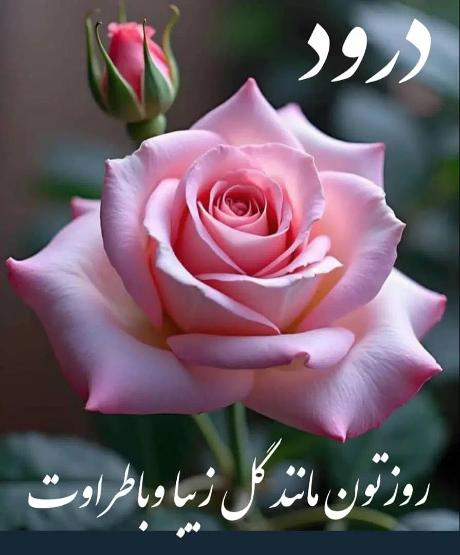 جذب نیروی خانم بازیگر،و مسلط به یوتیوب و اینستا|استخدام هنری و رسانه|ابهر, |دیوار