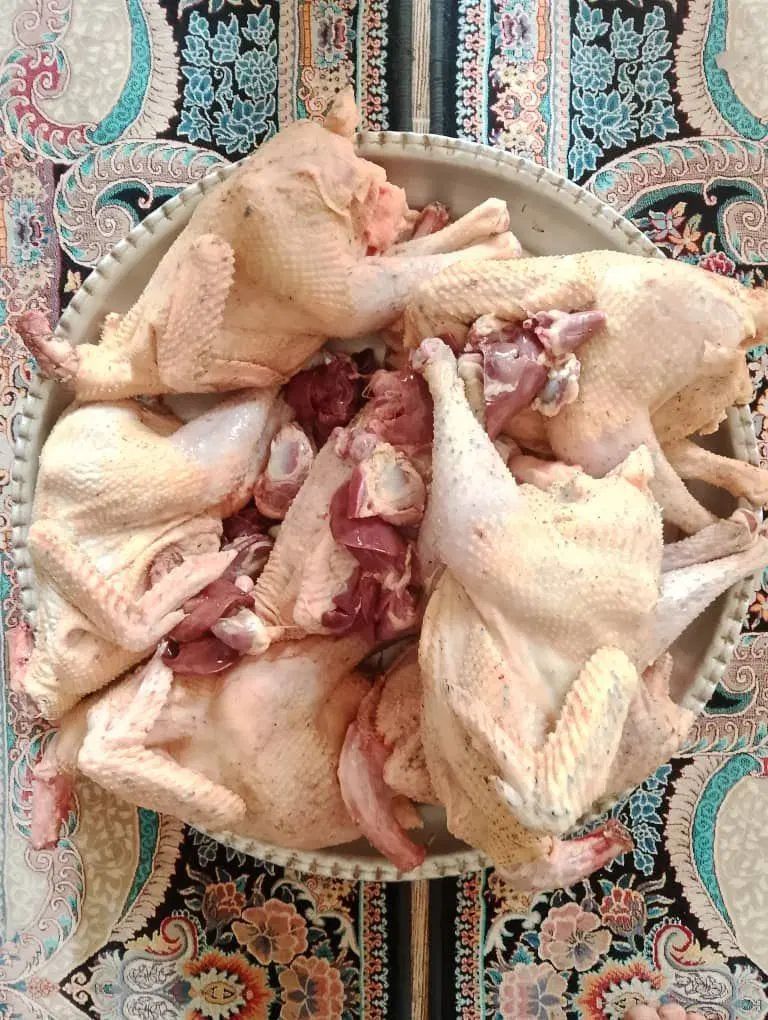 اردک اسرایبلی غاز مرغ اردک پرکنده و زنده|حیوانات مزرعه|رستم‌آباد, |دیوار