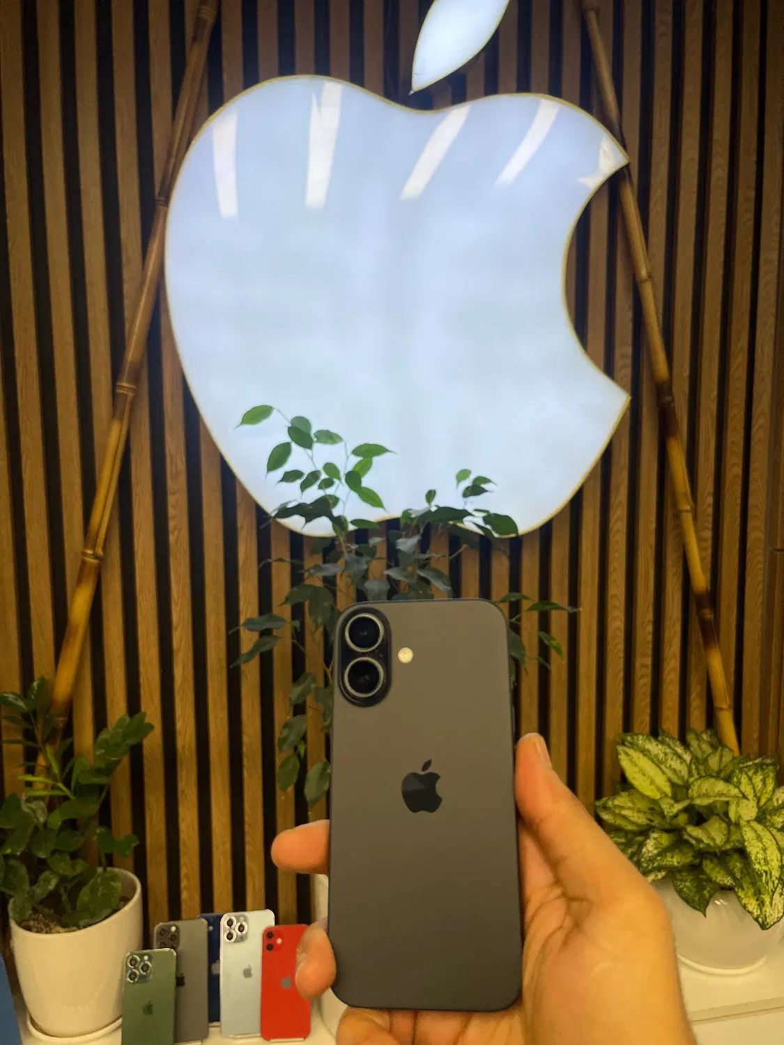 Iphone 16 normal 128 cha شرکتی|موبایل|تهران, شیخ هادی|دیوار