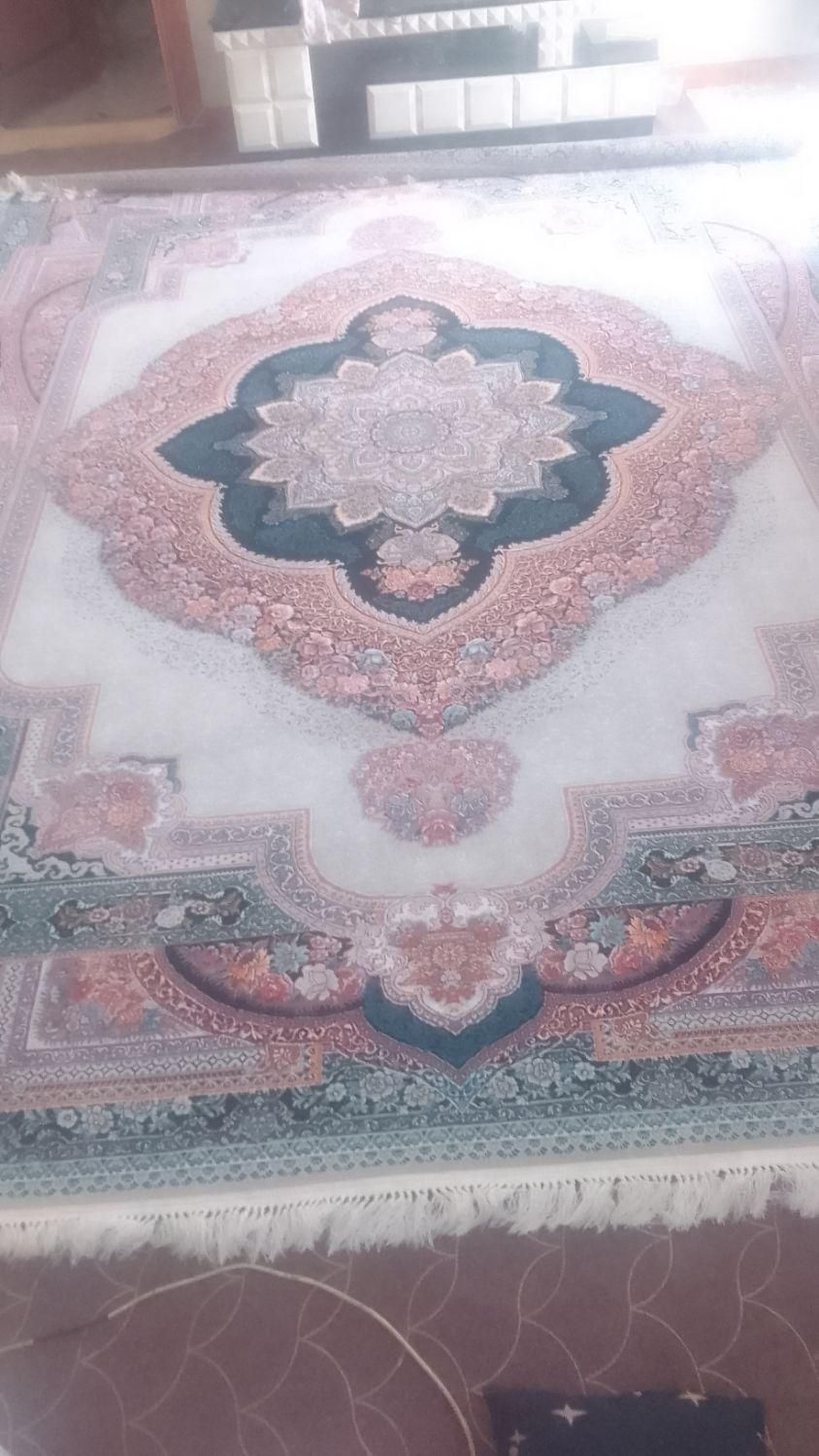 فرش نگین مشهد|فرش|مزرعه کتول, |دیوار